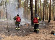 В Ульяновской области ожидается чрезвычайная пожарная опасность 
