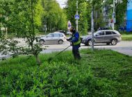 31 мая в Ульяновске пройдет очередная «санитарная пятница»