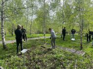 В Ульяновске началось осеннее благоустройство улиц и дворов