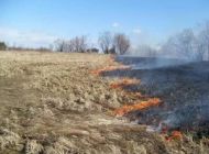 В Ульяновске начались полевые пожары