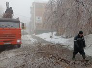 В Ульяновске вывезено 620 кубометров сломанных ледяных дождём веток