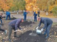 В парке имени Матросова высадят новые деревья