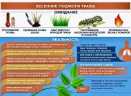 Ульяновск входит в весенне-летний пожароопасный сезон