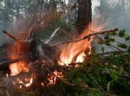 В Ульяновске ожидается высокая пожарная опасность