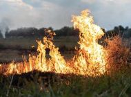 В Ульяновске ожидается высокая пожарная опасность