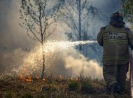 В Ульяновской области ожидается высокая пожарная опасность