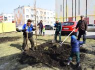 В Ульяновске запланировано благоустройство дворов