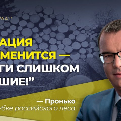 "Ситуация не изменится - деньги слишком большие!" Пронько о вырубке российского леса