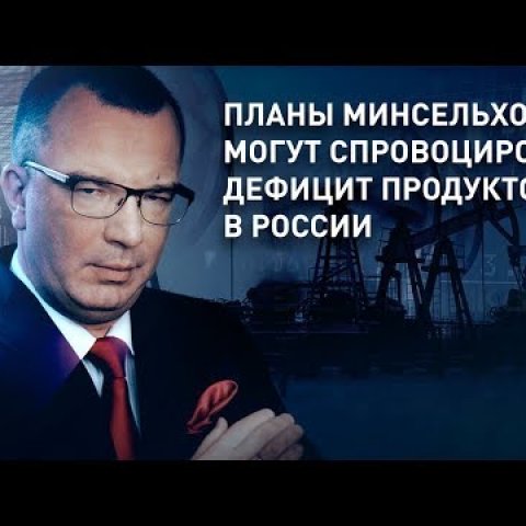 Дефицит продуктов в России могут спровоцировать Планы Минсельхоза РФ