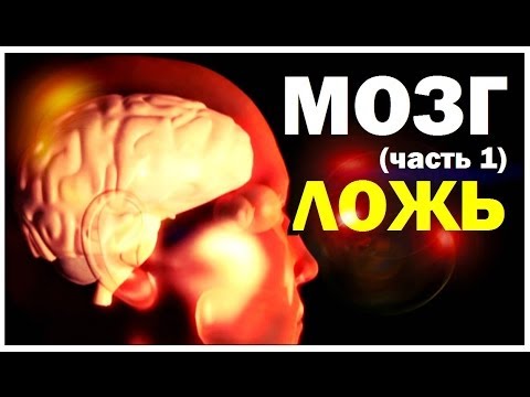 Передача Галилео. Мозг (часть 1): Ложь